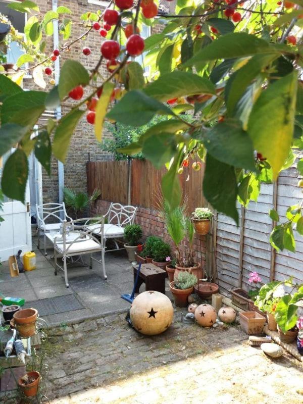 Cosy London Double Room Near Wimbledon Zewnętrze zdjęcie